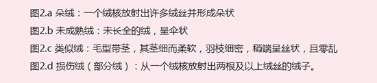 冬季来临，羽绒羽毛被是很多家庭床上用品的过冬之选，什么样的羽绒被才能称得上是合格产品呢？