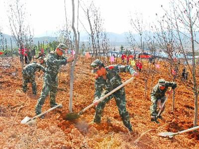 临安青山湖街经济总量_临安青山湖