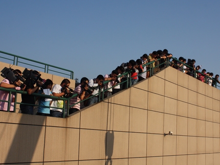 国内首次大规模引进  首批白鲸入驻极地海洋公园