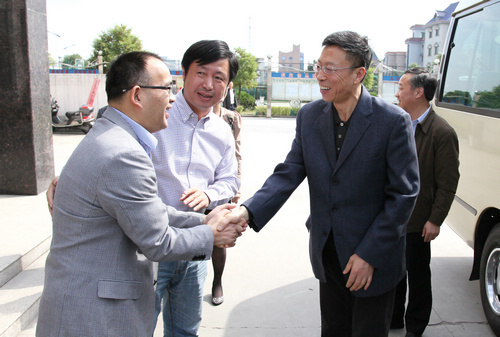 中央文明办领导张志勇一行考察镇中村、梅东村