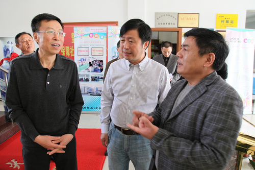 中央文明办领导张志勇一行考察镇中村、梅东村