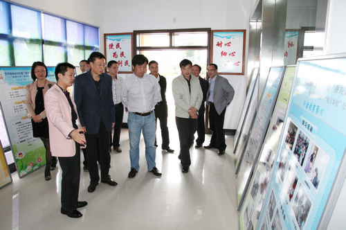 中央文明办领导张志勇一行考察镇中村、梅东村