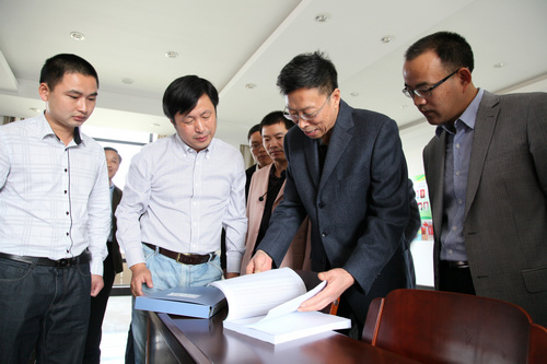 中央文明办领导张志勇一行考察镇中村、梅东村