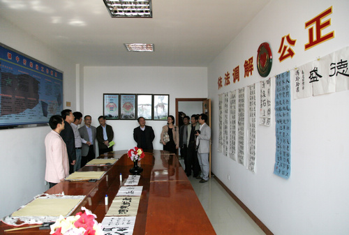 中央文明办领导张志勇一行考察镇中村、梅东村